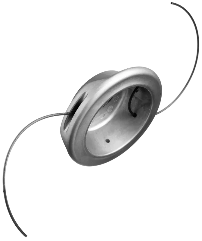 Siimapää Alloy