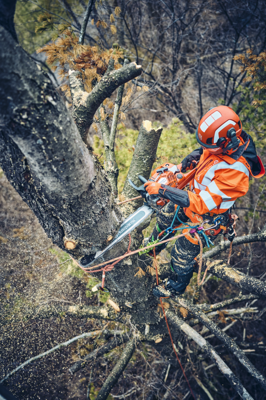 Husqvarna 560 XP® G Mark II