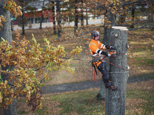 Husqvarna 550i XP® G